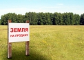 Продам земельный участок в с. Щербакова 