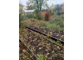 Продам сад КСТ 15 участок 289 (Колчеданский тракт). 