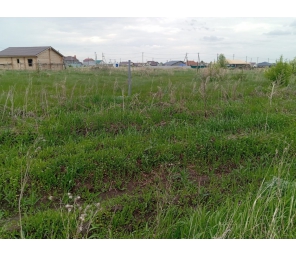 Продам земельный участок в с. Сипавское. 